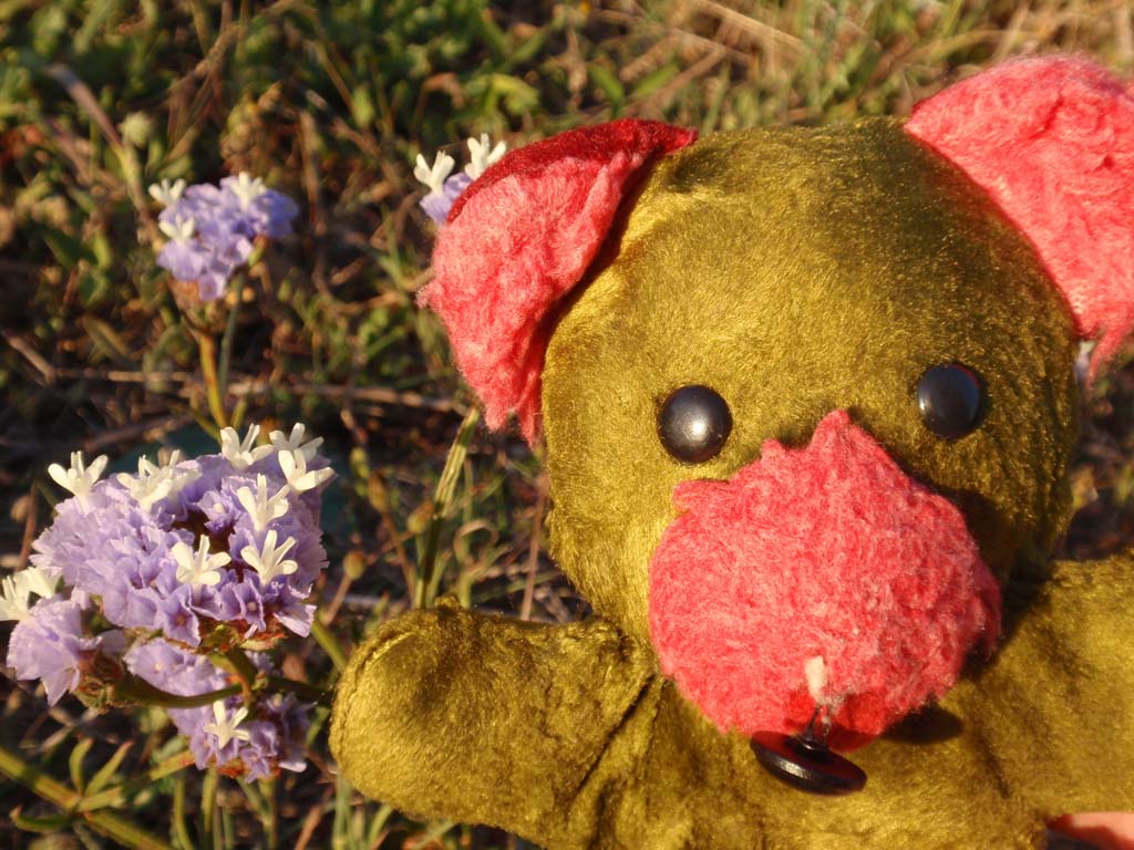  Small hills in our village